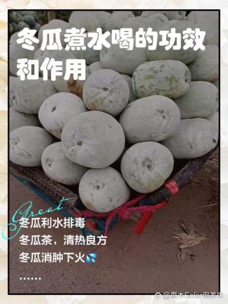 孕妇可以吃冬瓜吗_冬瓜对孕妇有什么好处-第3张图片-星辰妙记 孕妇可以吃冬瓜吗_冬瓜对孕妇有什么好处-第3张图片-星辰妙记