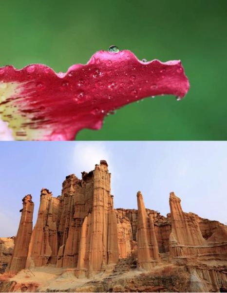 佳能广角定焦镜头推荐_哪款适合风光摄影-第1张图片-星辰妙记