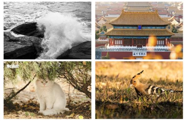 18140镜头价格_18140镜头多少钱-第3张图片-星辰妙记