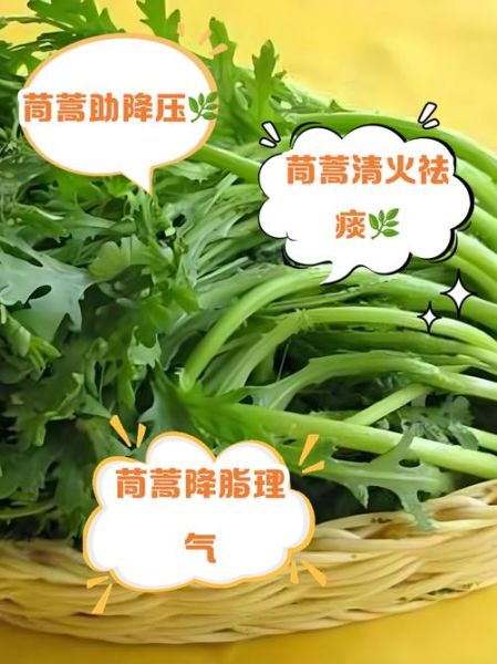 孕妇可以吃茼蒿吗_孕期吃茼蒿的注意事项-第3张图片-星辰妙记 孕妇可以吃茼蒿吗_孕期吃茼蒿的注意事项-第3张图片-星辰妙记
