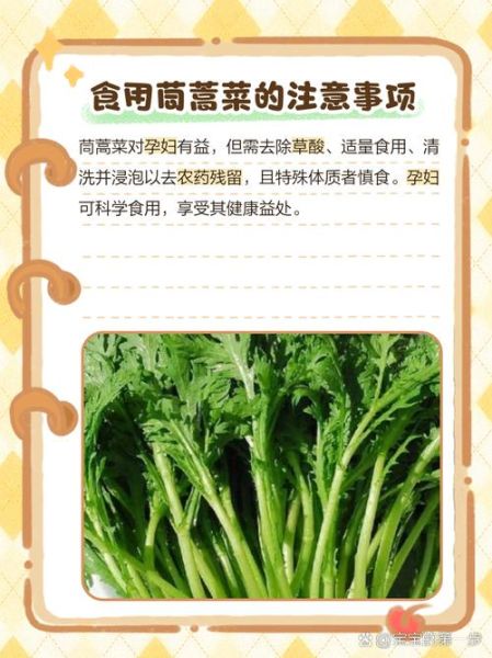 孕妇可以吃茼蒿吗_孕期吃茼蒿的注意事项-第2张图片-星辰妙记 孕妇可以吃茼蒿吗_孕期吃茼蒿的注意事项-第2张图片-星辰妙记