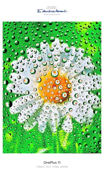 微距镜头怎么选_微距镜头推荐哪款-第3张图片-星辰妙记