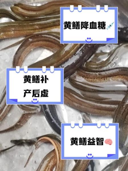 孕妇梦到很多黄鳝_是什么意思-第2张图片-星辰妙记 孕妇梦到很多黄鳝_是什么意思-第2张图片-星辰妙记