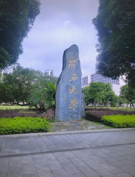 广西大学面积有多大_广西大学面积多少亩-第3张图片-星辰妙记