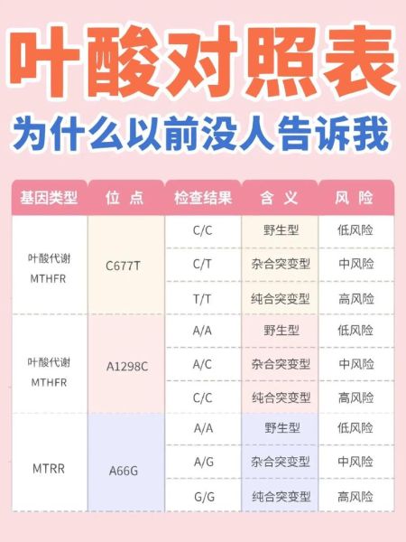 孕妇几个月开始吃叶酸_叶酸吃到什么时候停-第1张图片-星辰妙记