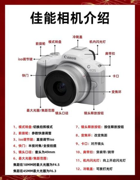 佳能镜头翻新可靠吗_二手佳能镜头翻新流程-第3张图片-星辰妙记