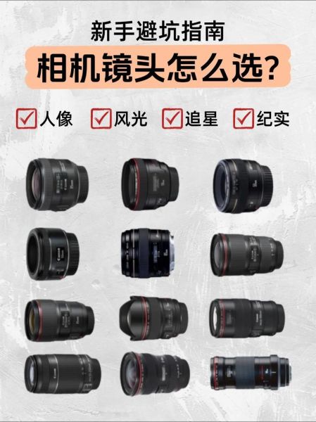 入门镜头怎么选_新手第一支镜头推荐-第2张图片-星辰妙记