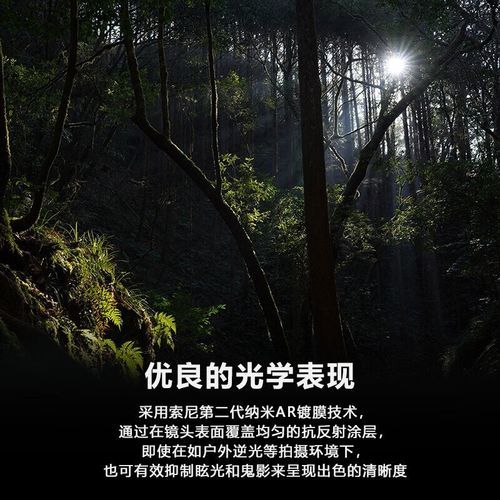 索尼大师镜头值得买吗_如何挑选-第2张图片-星辰妙记