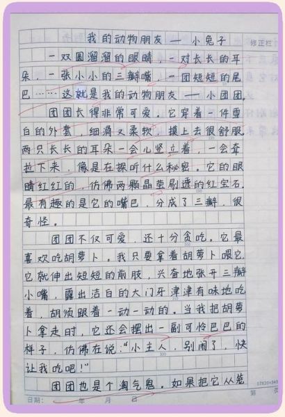 四年级下册作文怎么写_四年级下册作文写什么好-第1张图片-星辰妙记 四年级下册作文怎么写_四年级下册作文写什么好-第1张图片-星辰妙记