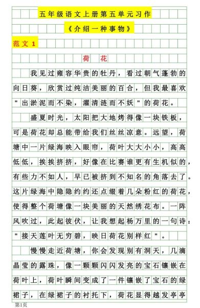 五年级上册五单元作文怎么写_如何把事物写具体-第1张图片-星辰妙记 五年级上册五单元作文怎么写_如何把事物写具体-第1张图片-星辰妙记