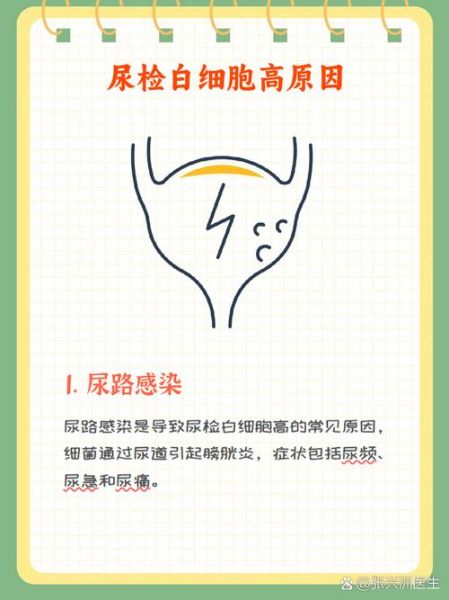 孕妇尿检白细胞高怎么办_孕妇尿蛋白阳性严重吗-第3张图片-星辰妙记