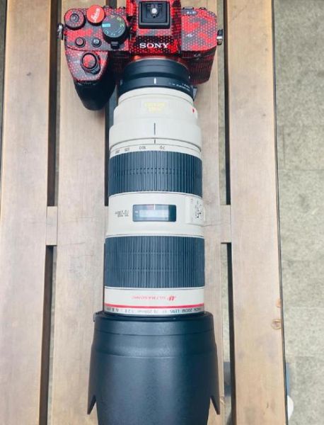 索尼转接佳能镜头兼容吗_索尼转接佳能镜头画质会下降吗-第1张图片-星辰妙记