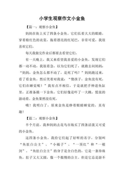 观察作文怎么写_小学生观察作文技巧-第2张图片-星辰妙记