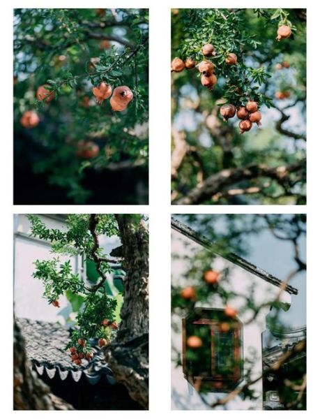 70200镜头适合拍风景吗_70200镜头风景拍摄技巧-第1张图片-星辰妙记