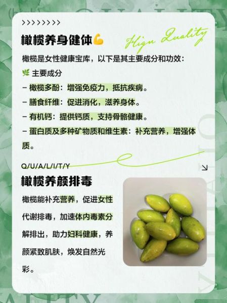 孕妇可以吃橄榄吗_孕期吃橄榄的好处与禁忌-第1张图片-星辰妙记 孕妇可以吃橄榄吗_孕期吃橄榄的好处与禁忌-第1张图片-星辰妙记