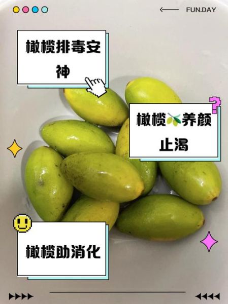 孕妇可以吃橄榄吗_孕期吃橄榄的好处与禁忌-第2张图片-星辰妙记 孕妇可以吃橄榄吗_孕期吃橄榄的好处与禁忌-第2张图片-星辰妙记