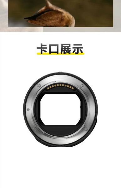 单反镜头接口有哪些_如何选佳能尼康索尼卡口-第3张图片-星辰妙记