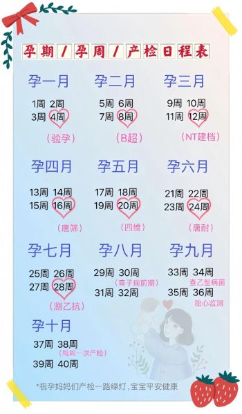 孕妇一周是多少天_孕期周数怎么算-第3张图片-星辰妙记 孕妇一周是多少天_孕期周数怎么算-第3张图片-星辰妙记