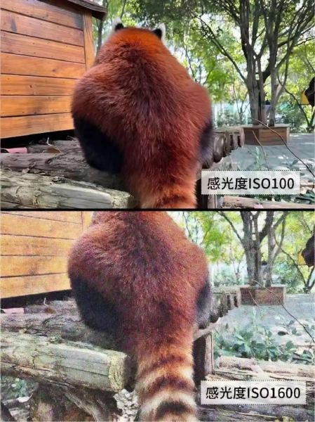 FD镜头光圈怎么调_FD镜头光圈值怎么看-第3张图片-星辰妙记