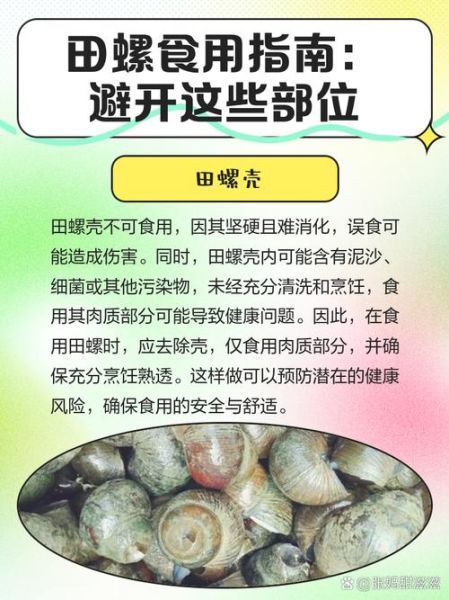 孕妇可以吃田螺吗早期_怀孕初期吃田螺注意事项-第1张图片-星辰妙记