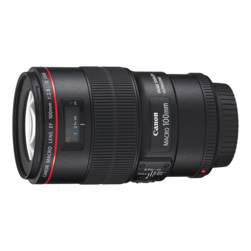 佳能百微镜头值得买吗_佳能百微镜头使用技巧-第3张图片-星辰妙记