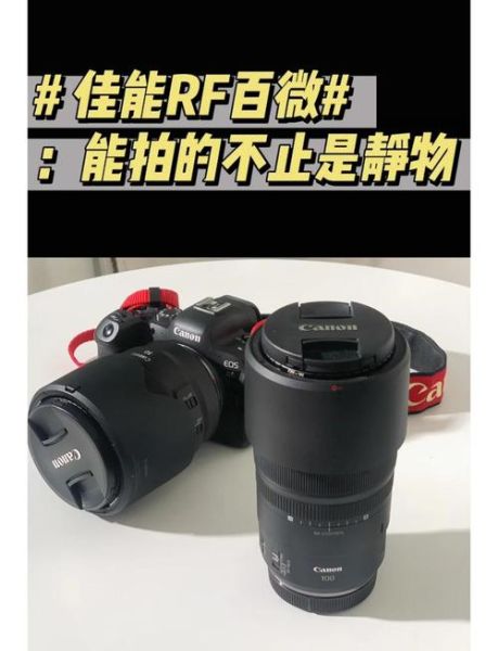 佳能百微镜头值得买吗_佳能百微镜头使用技巧-第1张图片-星辰妙记