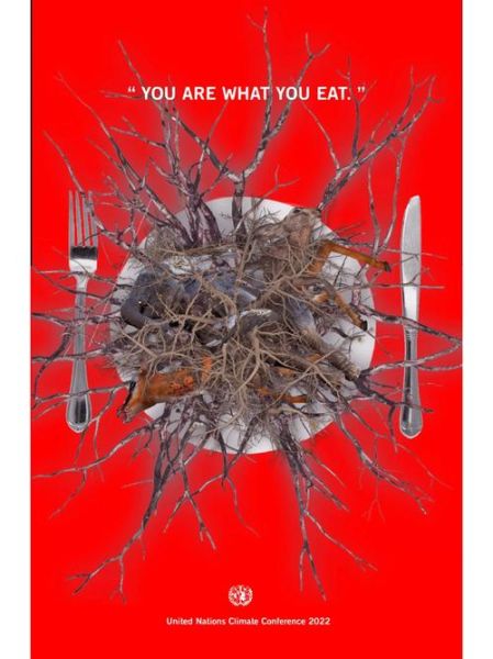 what_to_eat_when_pregnant_safe_foods_for_pregnant_women-第1张图片-星辰妙记