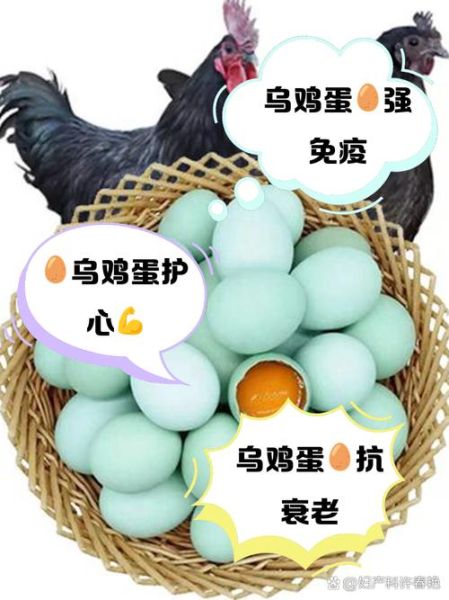 乌鸡蛋孕妇可以吃吗_乌鸡蛋对胎儿好吗-第1张图片-星辰妙记