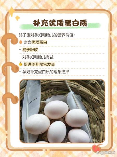 孕妇吃鸽子蛋有什么好处_对胎儿好吗-第2张图片-星辰妙记