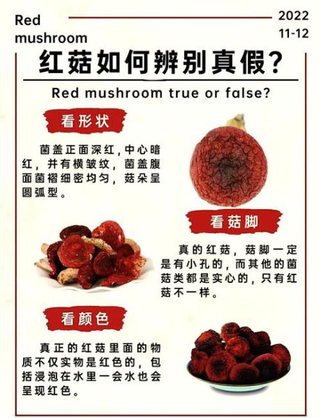 红菇孕妇可以吃吗_红菇对胎儿有影响吗-第2张图片-星辰妙记