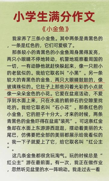 小学生作文怎么写_如何快速提高语文作文水平-第1张图片-星辰妙记