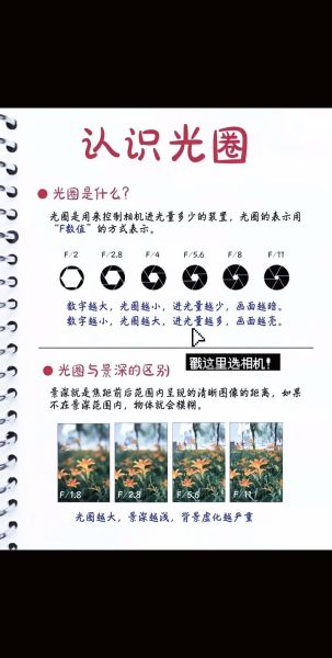 长镜头是什么_长镜头和短镜头的区别-第1张图片-星辰妙记