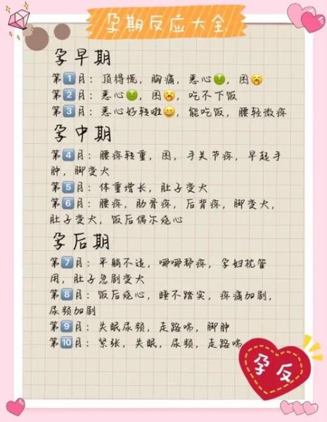 孕妇几个月开始吐_孕吐一般持续多久-第2张图片-星辰妙记