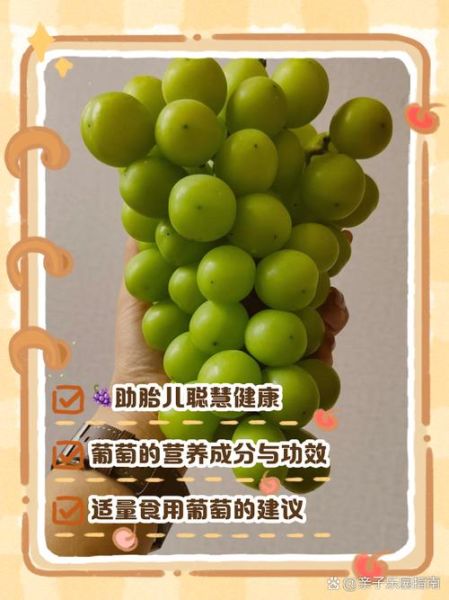 孕妇吃葡萄对胎儿好吗_怀孕吃葡萄的注意事项-第1张图片-星辰妙记 孕妇吃葡萄对胎儿好吗_怀孕吃葡萄的注意事项-第1张图片-星辰妙记