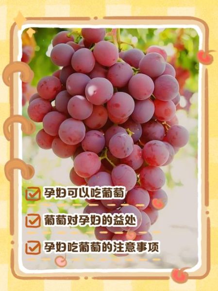 孕妇吃葡萄对胎儿好吗_怀孕吃葡萄的注意事项-第2张图片-星辰妙记 孕妇吃葡萄对胎儿好吗_怀孕吃葡萄的注意事项-第2张图片-星辰妙记