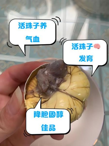 孕妇能吃活珠子吗_活珠子对孕妇的影响-第1张图片-星辰妙记