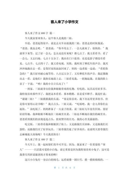 第一次招待客人作文怎么写_如何让客人宾至如归-第1张图片-星辰妙记