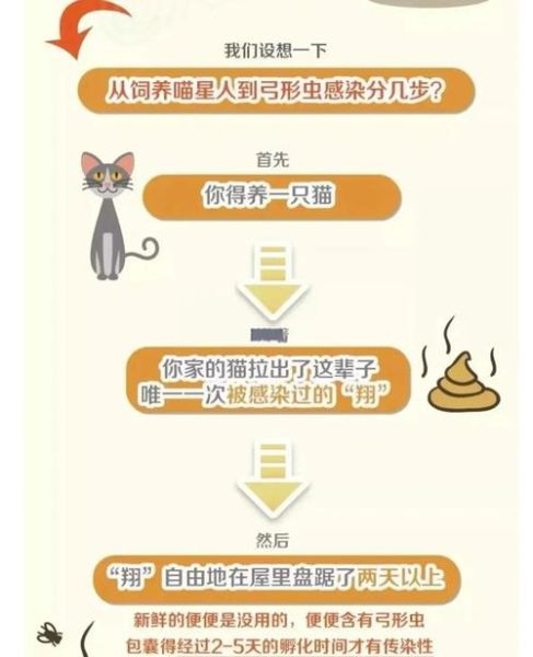 孕妇可以养狗吗_怀孕养狗注意事项-第3张图片-星辰妙记