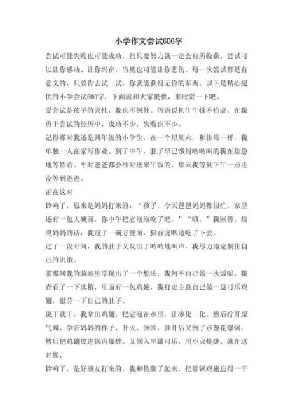 尝试作文600字怎么写_如何写出高分尝试作文-第2张图片-星辰妙记