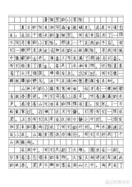 假期作文怎么写_假期作文素材有哪些-第2张图片-星辰妙记