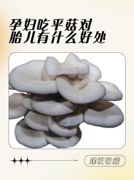 孕妇能吃蘑菇吗_孕妇吃菌类注意事项-第1张图片-星辰妙记