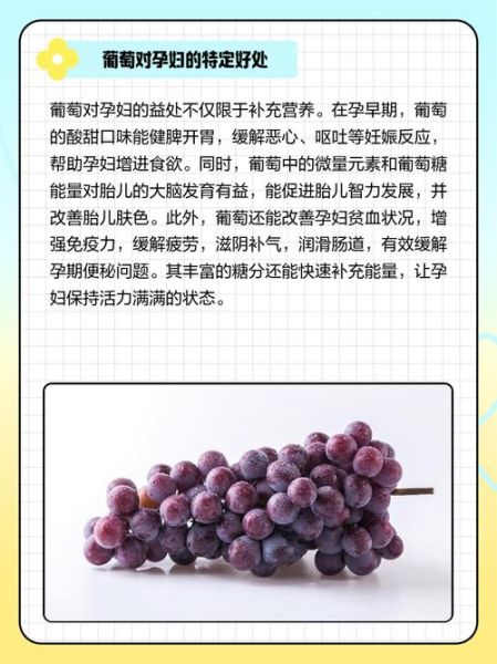 孕妇可以喝红酒吗_孕期喝红酒对胎儿有影响吗-第1张图片-星辰妙记 孕妇可以喝红酒吗_孕期喝红酒对胎儿有影响吗-第1张图片-星辰妙记