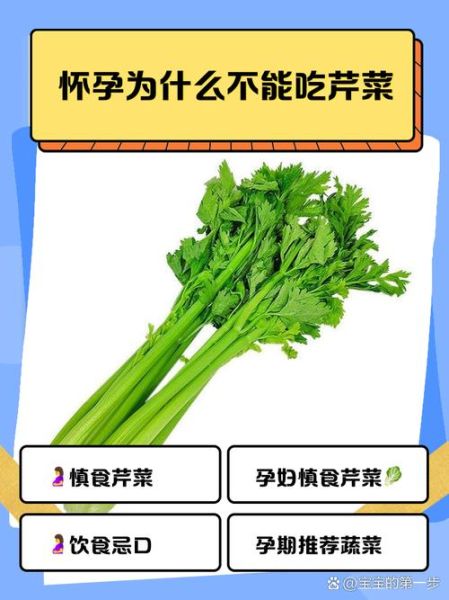 孕妇可以吃芹菜吗_怀孕吃芹菜的好处与禁忌-第3张图片-星辰妙记