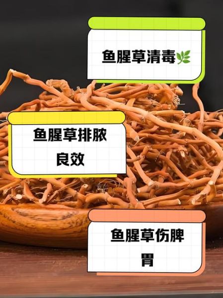 孕妇可以吃鱼腥草吗_鱼腥草对胎儿有影响吗-第2张图片-星辰妙记