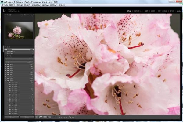 焦外好的镜头推荐_如何挑选奶油般虚化-第3张图片-星辰妙记 焦外好的镜头推荐_如何挑选奶油般虚化-第3张图片-星辰妙记