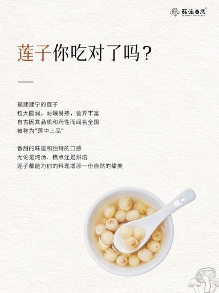 孕妇吃莲子对胎儿好吗_莲子一天吃多少粒合适-第3张图片-星辰妙记