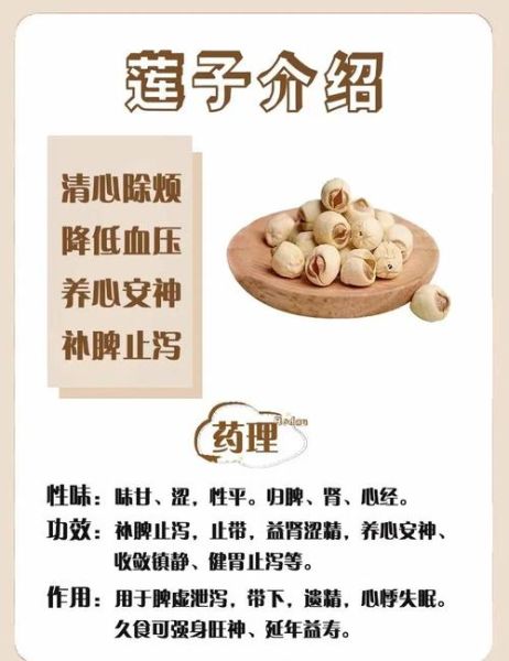 孕妇吃莲子对胎儿好吗_莲子一天吃多少粒合适-第1张图片-星辰妙记