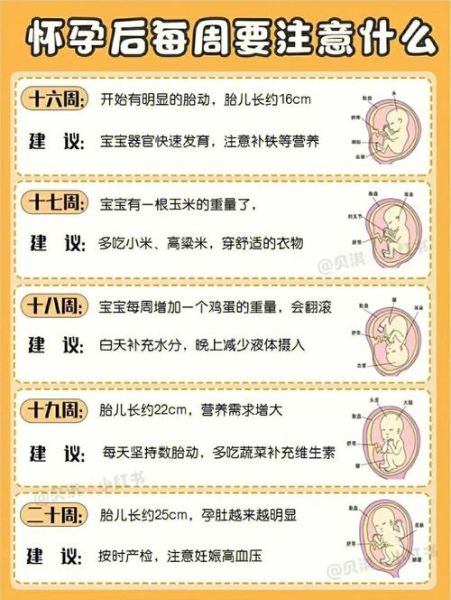 孕妇保健手册不办行吗_产检必须带吗-第3张图片-星辰妙记