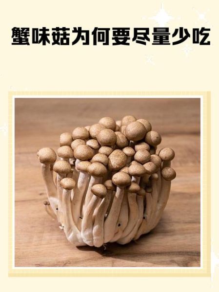 海鲜菇孕妇能吃吗_孕妇吃海鲜菇的注意事项-第1张图片-星辰妙记