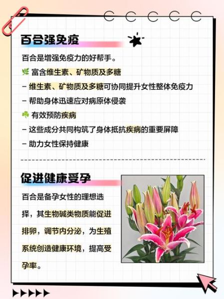 百合孕妇可以吃吗_孕妇吃百合对胎儿有影响吗-第1张图片-星辰妙记